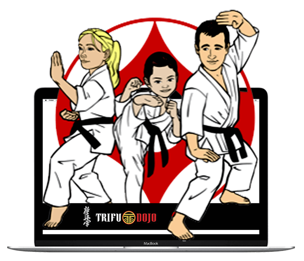 Online Martial Arts Classes