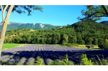 Écomusée "La vigne autrefois"