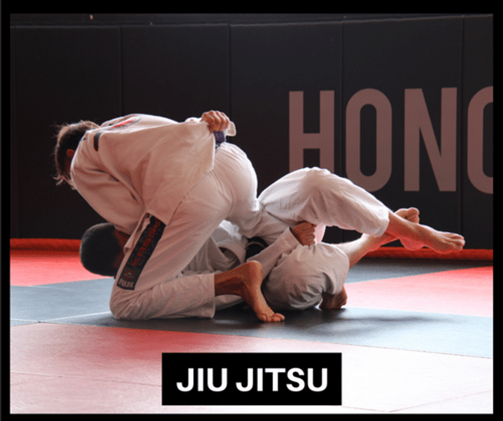 Ultimate Jiu Jitsu Seminar & Grading
