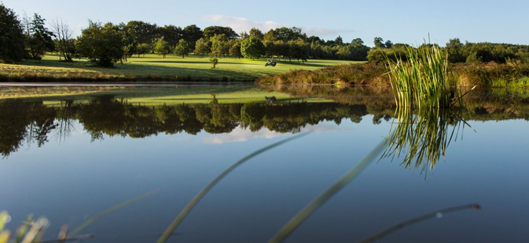 Foyle Golf