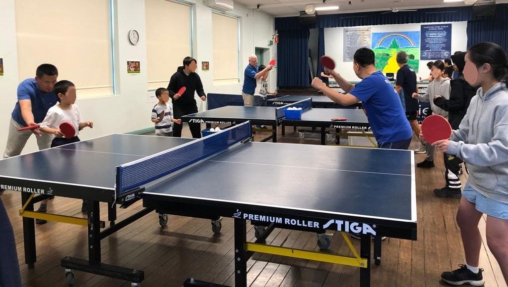 Table Tennis Classes for Adults and Children