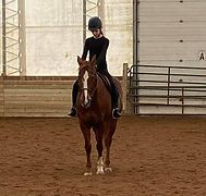 Dressage Schooling Show at Shady Maple Stables