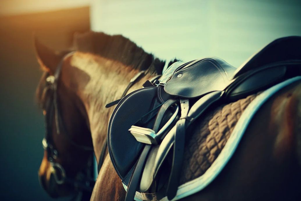 Discover the Joy of Riding