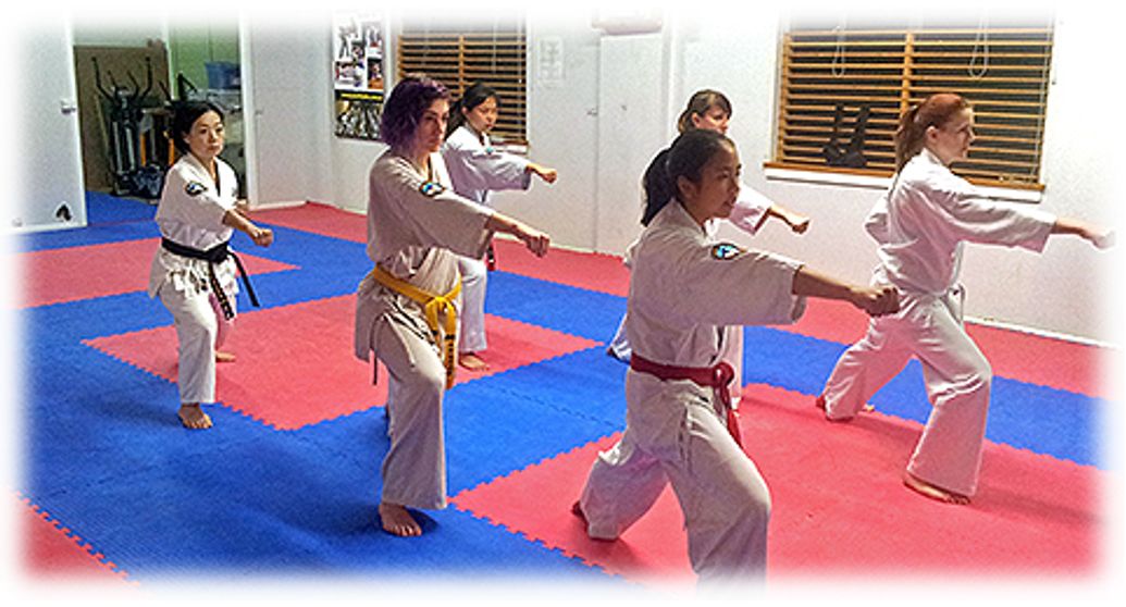 Au International Kyokushin Karate for Adults