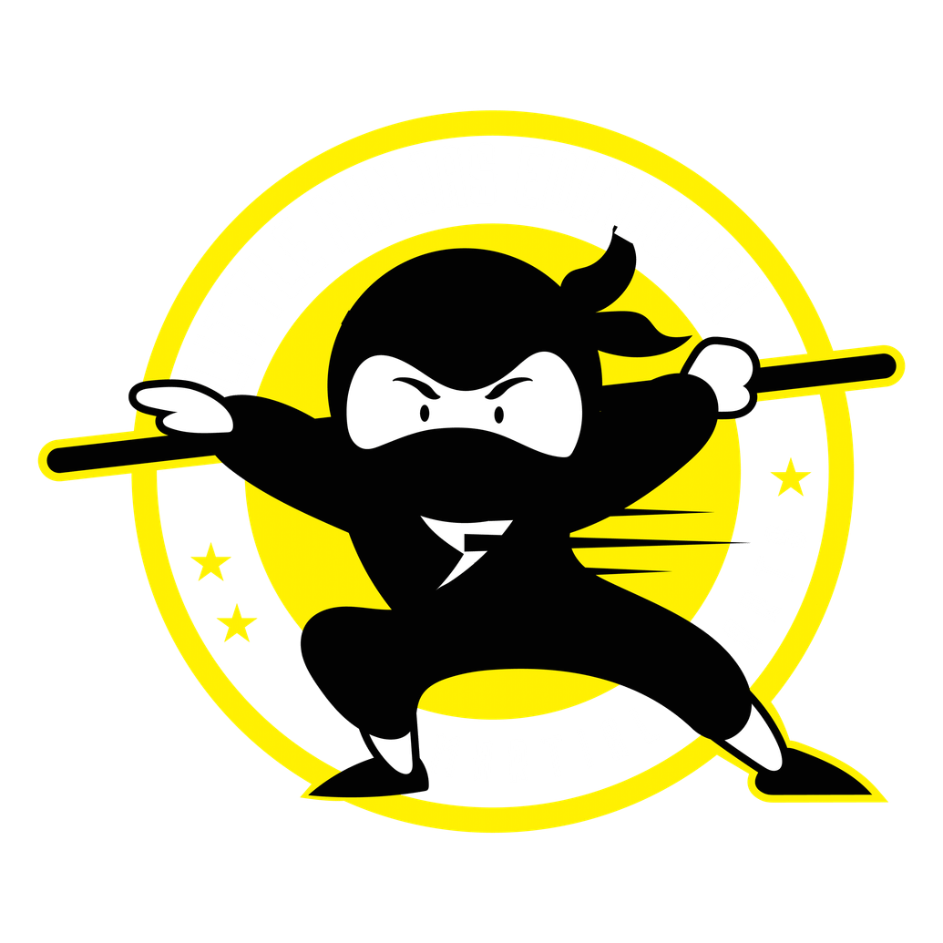Little Ninjas Martial Arts Class