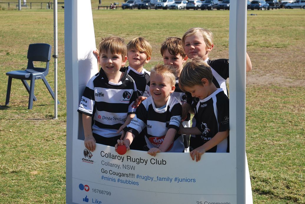 Minis Collaroy Cougars