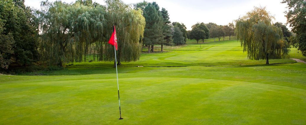 Senior Men's Open (Over 55) Afternoon AM-AM Stroke Play