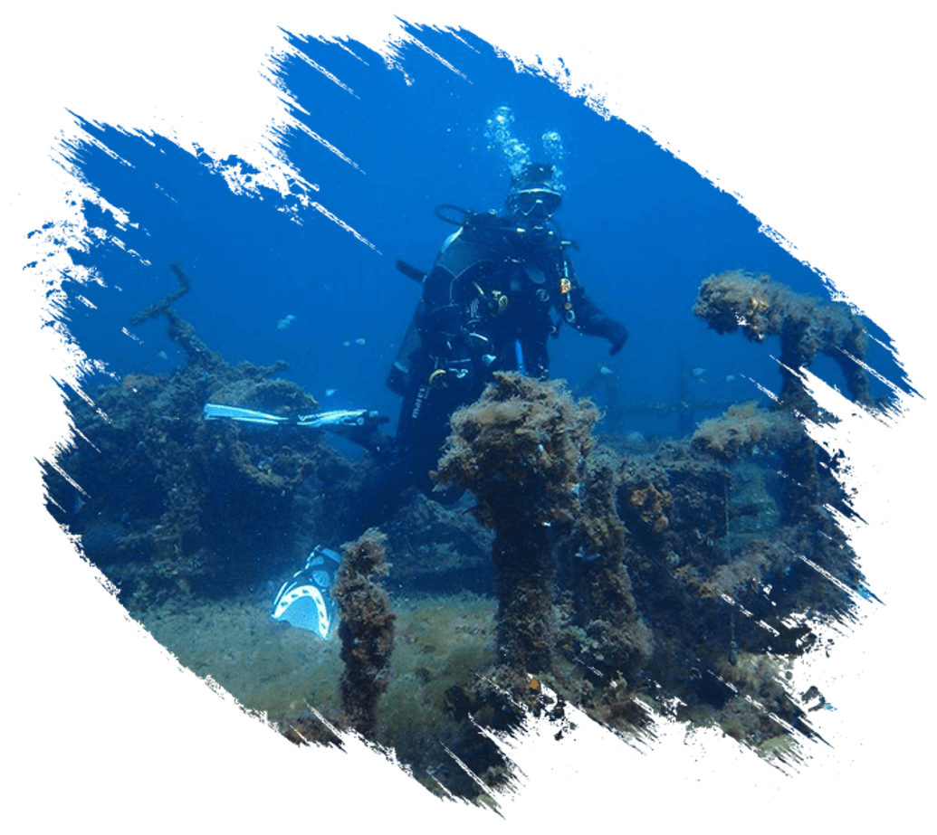 Dive Diving Bunbury Waters