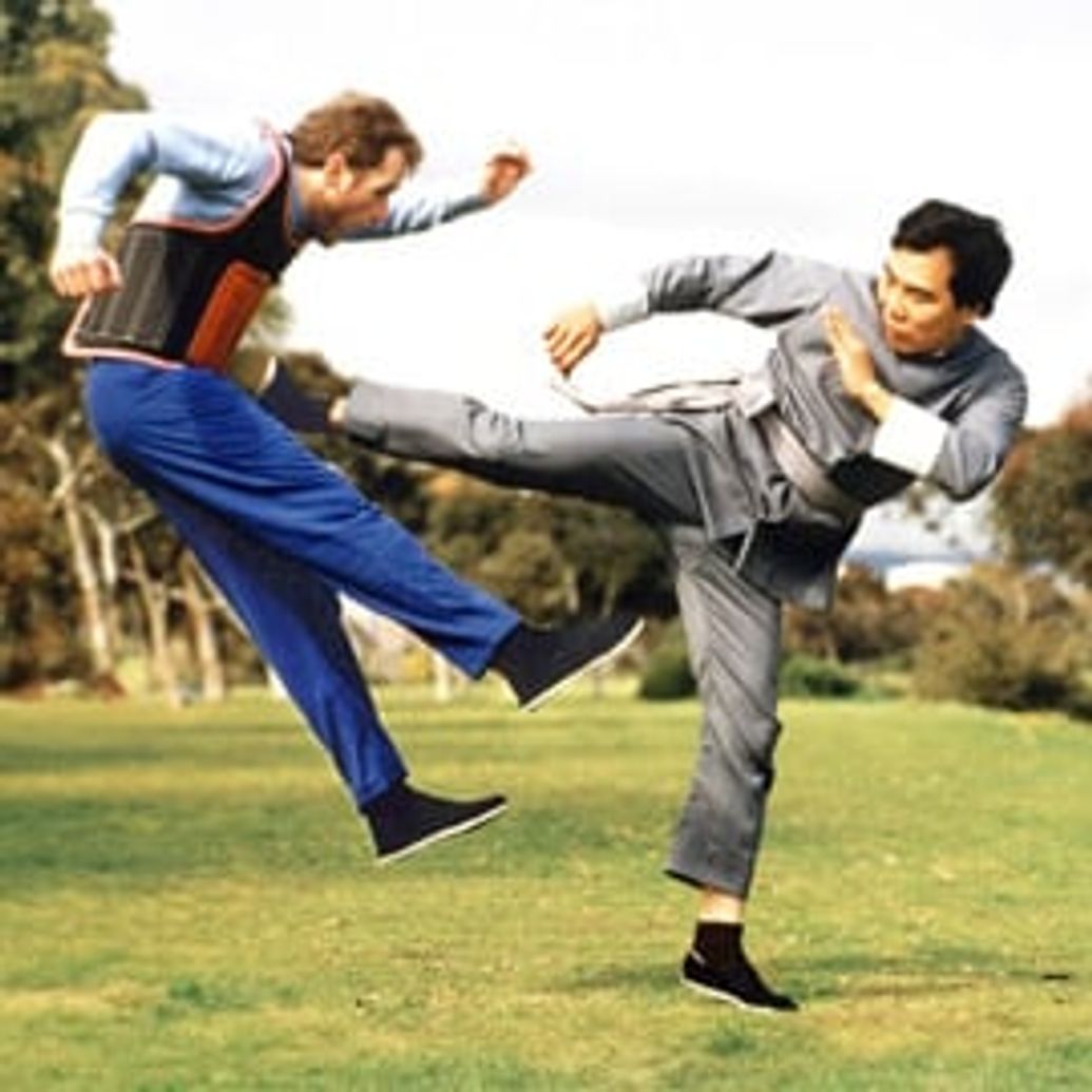 Wing Chun Kung Fu Classes
