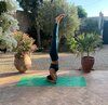 Yoga Classes