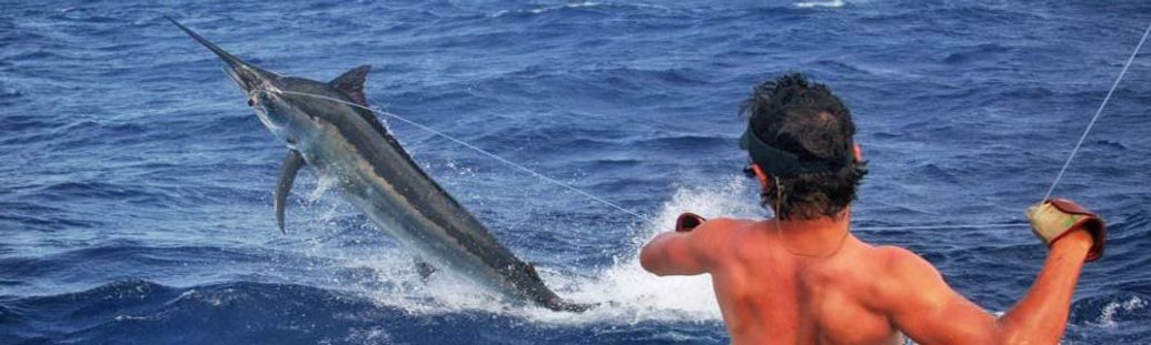 Sportfishing Cairns