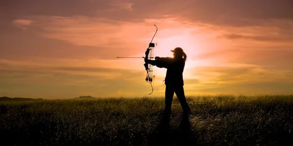 Black & Gold Beginner's Archery Course