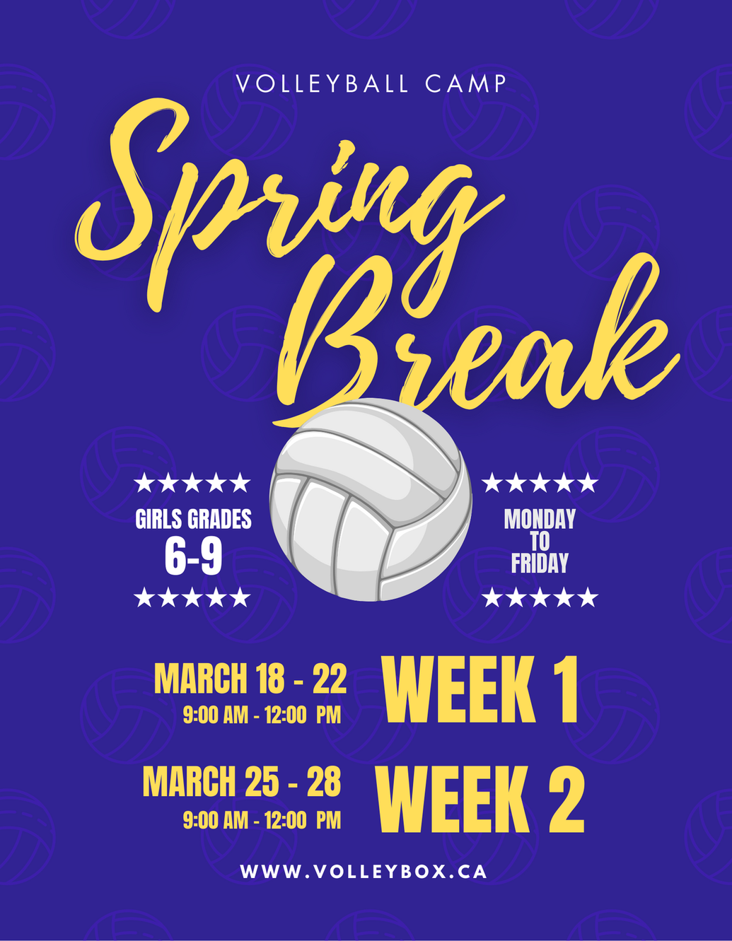 Summer Major League Volleyball Program for U14-U17 Girls