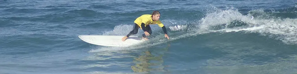 Surfing Lessons