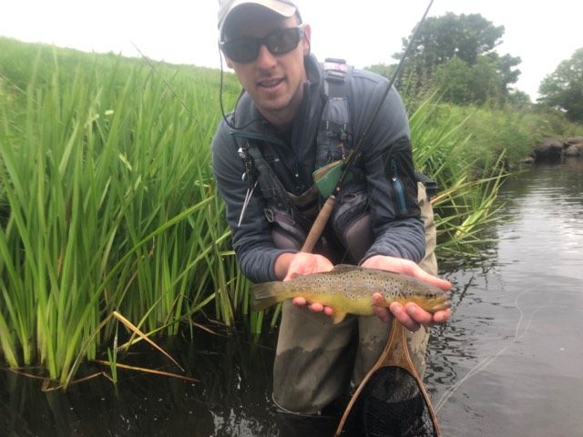 Syon Park Fisheries