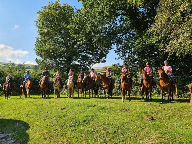The Dartmoor Crossing