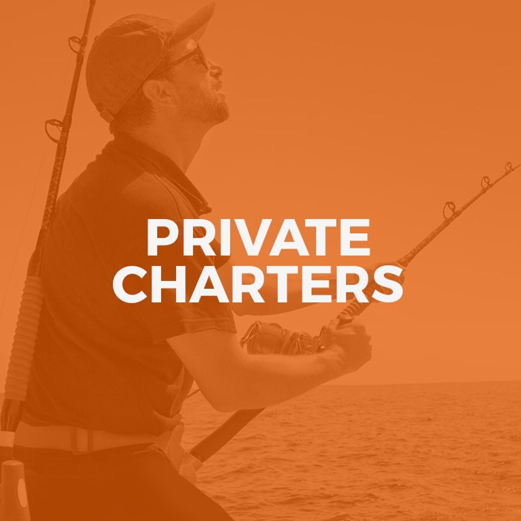 Cairns Private Fishing Charters