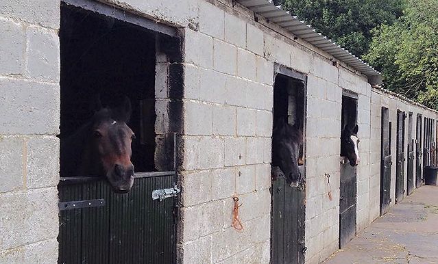 Shay Lane Stables Riding School