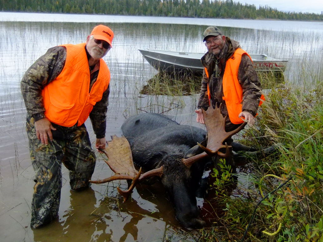 Moose and Bear Hunting Experience in Ontario
