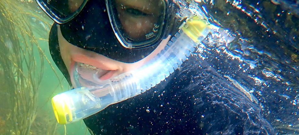 Snorkel Wild