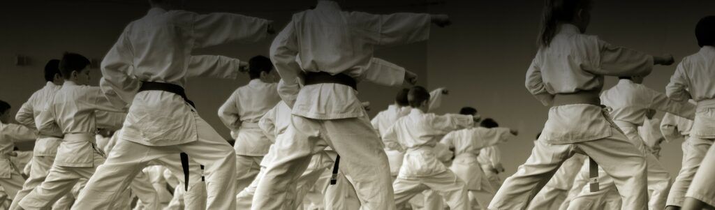 VIC – Region 8 Kumite Tournament
