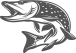 FISHING CHARTER ADVENTURES in VICTORIA