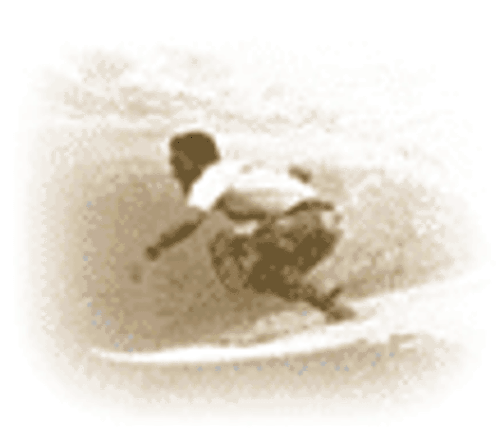 Learn to Surf Lessons