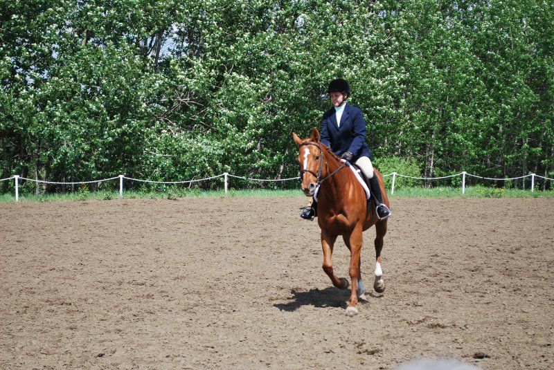 Trendsetting Stables Day Camp