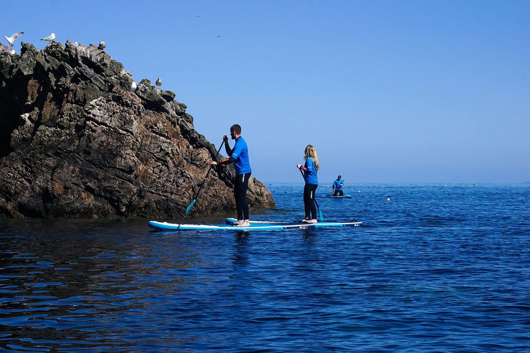 Blue Coast Surf School