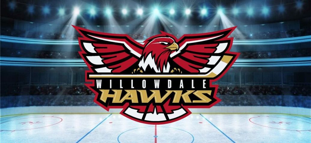 Willowdale Hockey House League Activities