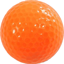 Kids Mini Golf Membership