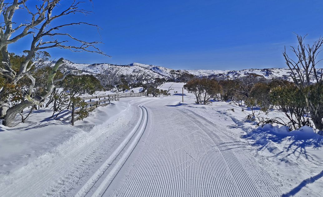 XC Ski Week 2024