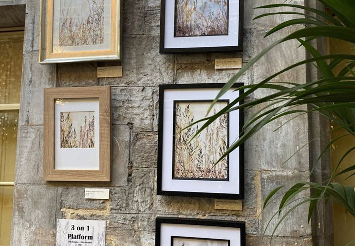 Midsummer Magic - Curated Exhibition