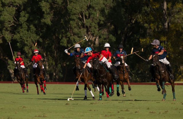 La Dolfina Cup