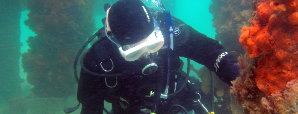 Diving With Aquability Diving Australia with Aquability
