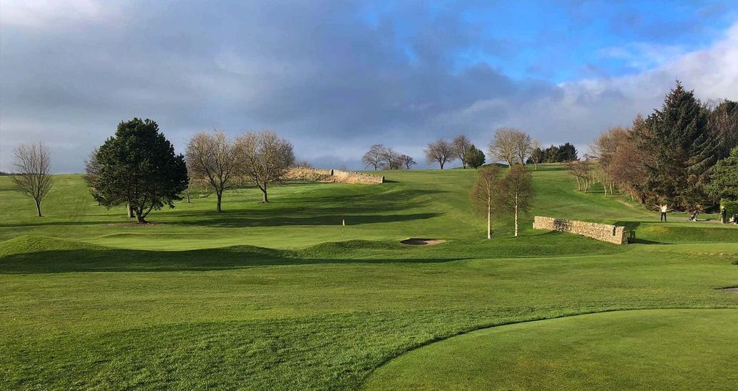 Ladies Open Greensomes