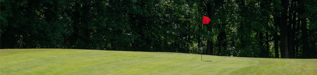 Golf at Haigh Woodland Park