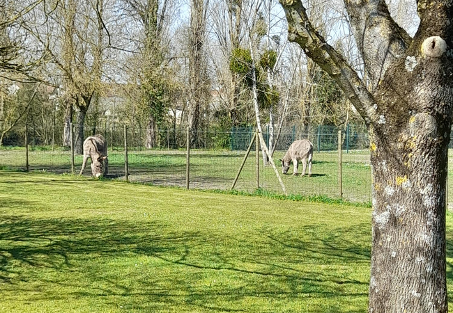Camping La Roseraie