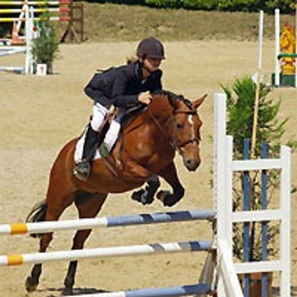 Concours de Saut d'Obstacles (CSO) à La Renarderie