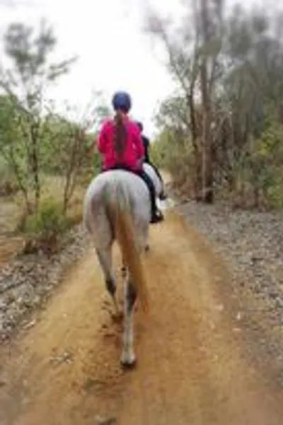Summer Creek Brewery ride