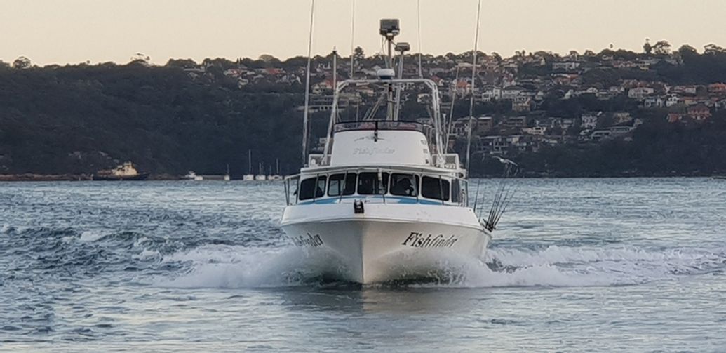 Whale Watching (8am-12pm) Reservation Enquiry
