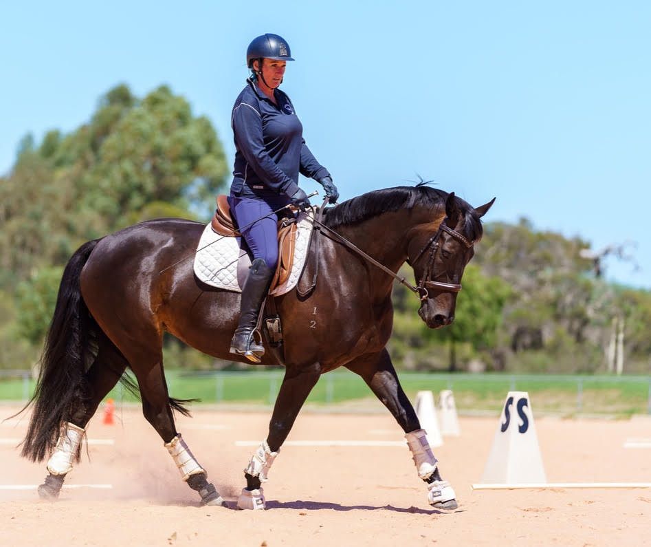 The Dressage Association of WA