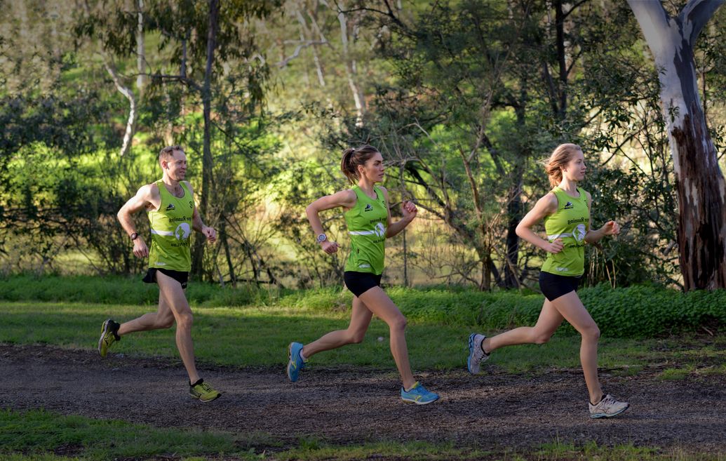 Weekly Running Sessions