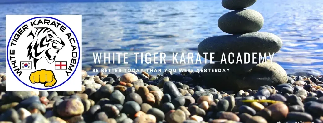 White Tiger Karate Children's Classes