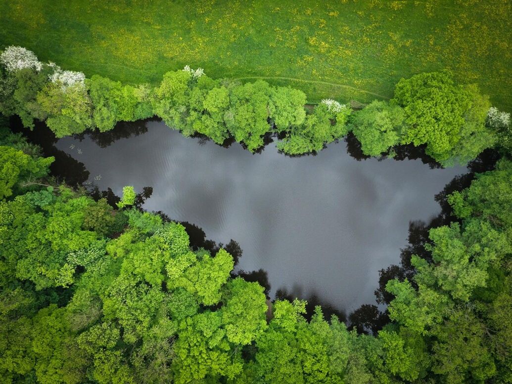 Hook Lake Carp Fishery