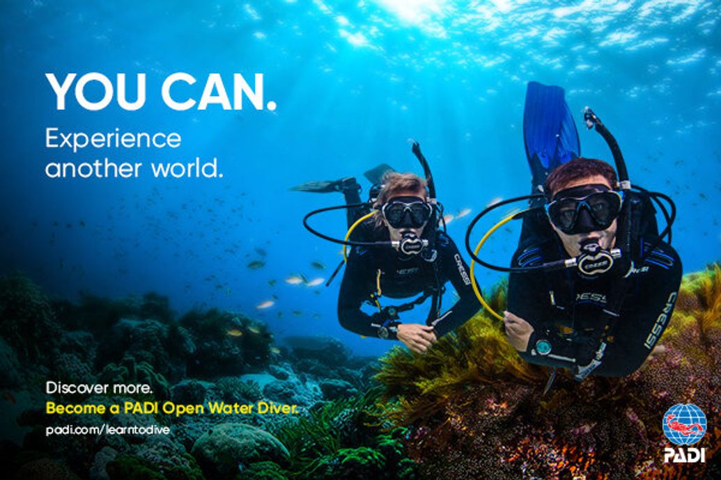 PADI Pro Dive Courses with The Dive Company