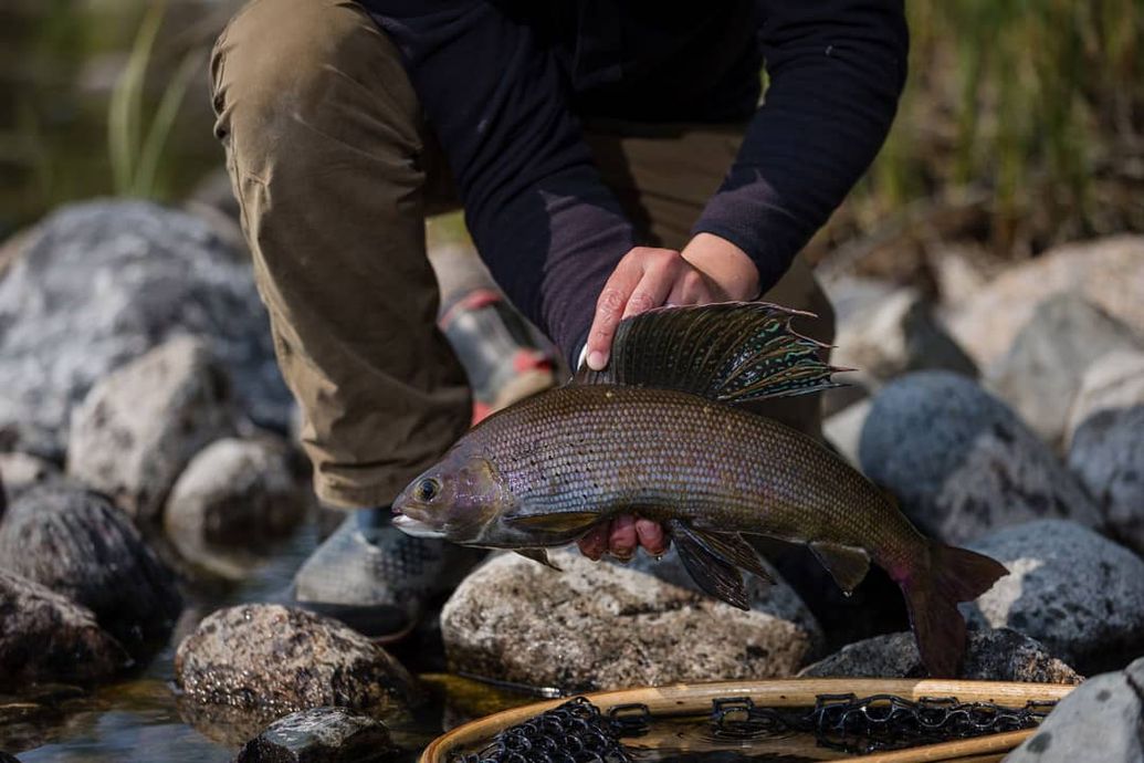 2024 Kasba Lake Lodge Fishing Trip