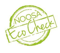 Noosa Learn to Surf