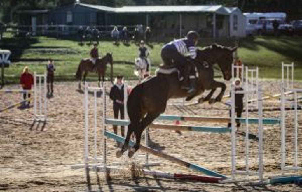 2024 State Championship Mounted Games