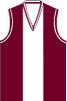 Newbridge Netball Club History